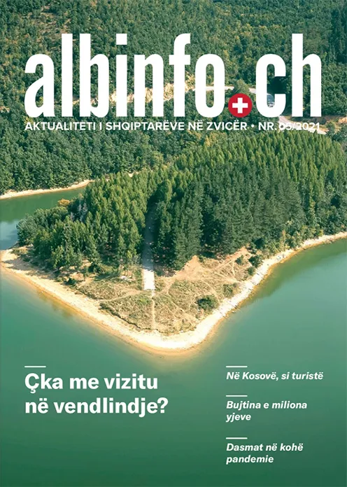 Albinfo-Revista-1
